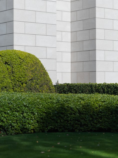 Bids and Proposals in Landscape Design