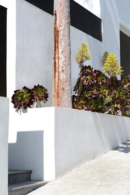 Presenting Landscape Designs to Clients