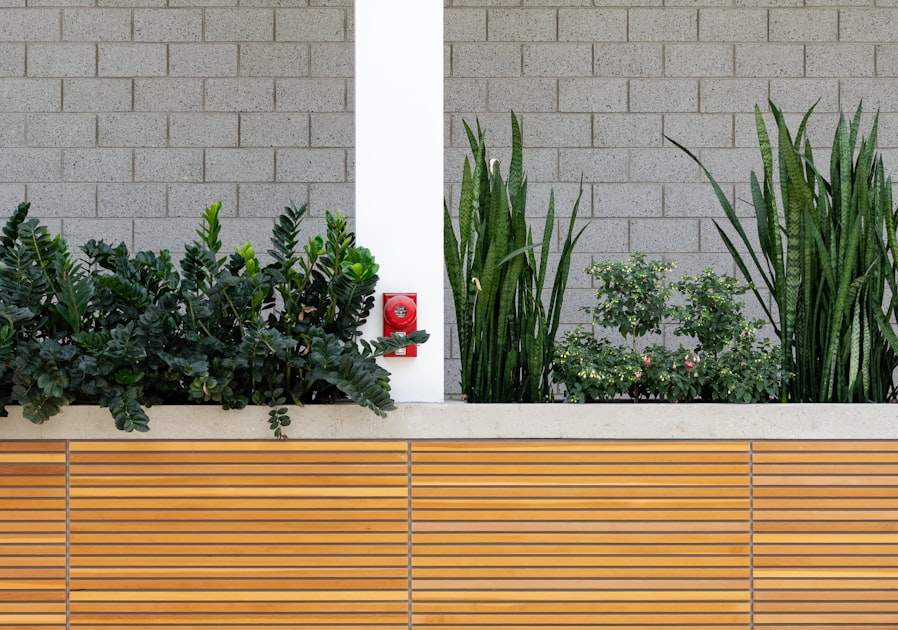 Downloadable Landscape Plans for Homeowners