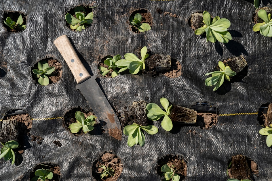 Landscape Design Solutions for Contractors